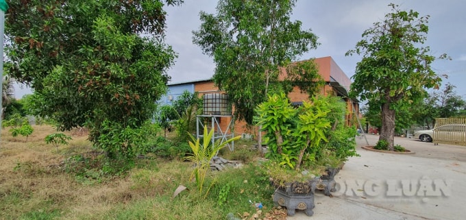 Mảnh đất của bà Trần Thị Ngọc Nữ (KP. Long Sơn, P. Mũi Né, TP. Phan Thiết) đã có giấy CNQSDĐ nhưng vừa qua bị UBND TP. Phan Thiết đề nghị thu hồi vì liên quan đến sai phạm của một số cán bộ chính quyền TP. trước đó. Ảnh: Thái Sơn.