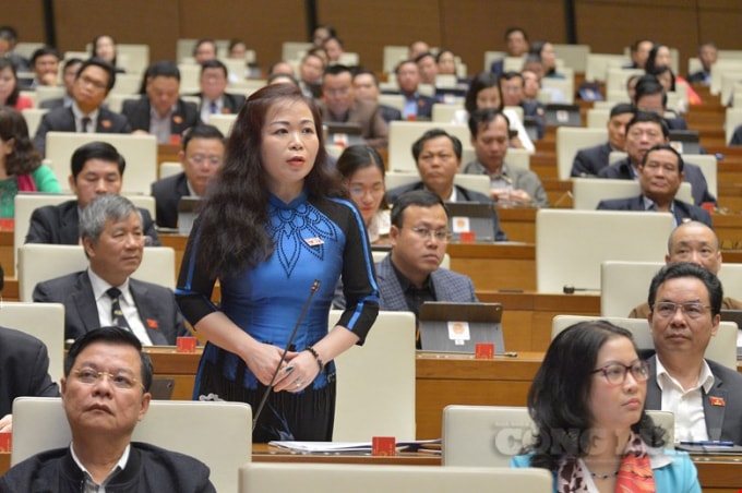ĐBQH Vũ Thị Lưu Mai (đoàn Hà Nội) phát biểu tại nghị trường Quốc hội.