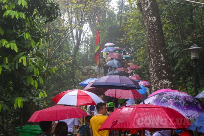 Dòng người 