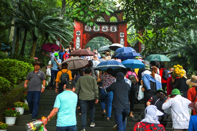Mặc dù thời tiết có mưa và lạnh, nhưng dòng người đổ về khu di tích mỗi lúc một đông.