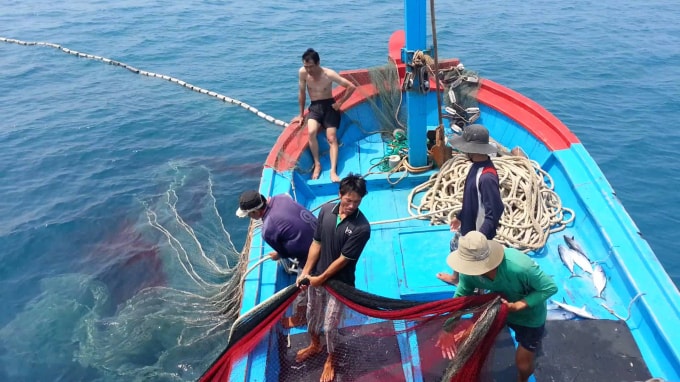 Tàu câu mực và 9 ngư dân Quảng Nam bị bắt giữ ở Thái Lan. Ảnh minh họa