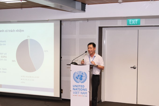 Đại diện của UNDP nêu ý kiến tại hội thảo.