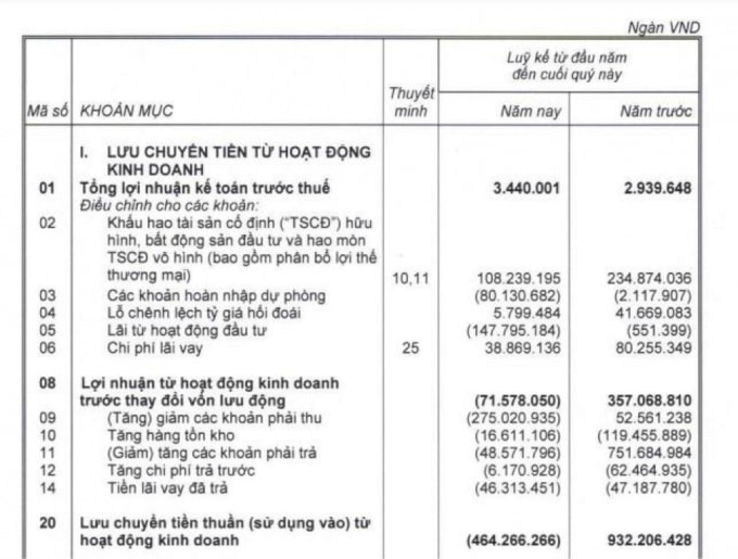 Nguồn: BCTC hợp nhất quý 1/2021 HNG.