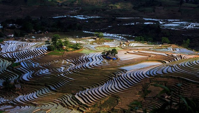 Thăm quan khám phá và check in ruộng bậc thang Tây Bắc mùa nước nổi thu hút rất đông các tay máy nhiếp ảnh và du khách trẻ.