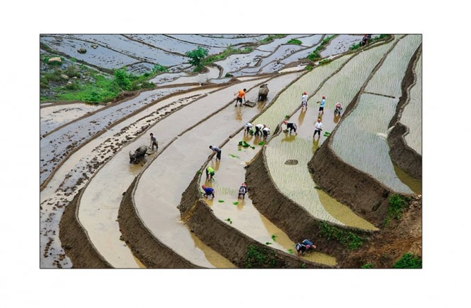 Những cánh đồng ruộng bậc thang tuyệt đẹp của Sa Pa, Ý Tý (Lào Cai) - Mù Cang Chải ( Yên Bái) - Hoàng Su Phì (Hà Giang) được công nhận là Di sản văn hóa quốc gia do các nghệ sỹ điêu khắc chân đất là đồng bào các dân tộc ít người từ đời này tới đời kia tạo nên.