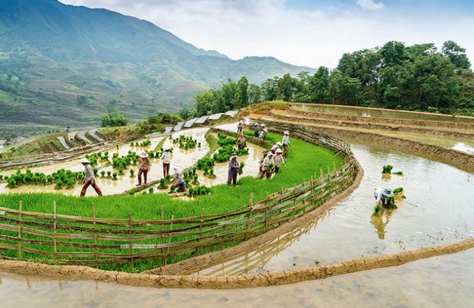 Lợi dụng nguồn nước từ trên cao đổ xuống người dân đã kiến tạo nên các khu ruộng bậc thang chỉ gieo cấy lúa được một vụ ở vùng núi cao có vùng tiểu khí hậu á nhiệt đới gió mùa.