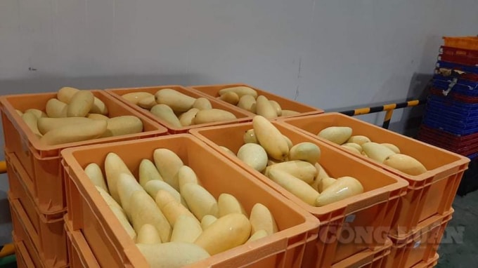 received_1140826123098104