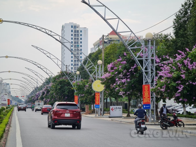 Bằng lăng tím được UBND tỉnh Thanh Hoá yêu cầu trồng trong khuôn viên, trên tuyến đường có vỉa hè hẹp ≤ 3m. Những chùm hoa với chiếc cánh mỏng manh mang đầy lưu luyến bởi sắc tím làm mê đắm lòng người. Những sắc màu thương nhớ tháng 5 gợi niềm xao xuyến như muốn níu chân ai đó ngang qua, dừng lại ngắm nhìn cho bằng được.