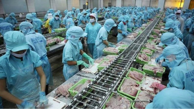 Kết thúc quý đầu năm, nhiều doanh nghiệp thủy sản ghi nhận kết quả kinh doanh ảm đạm.