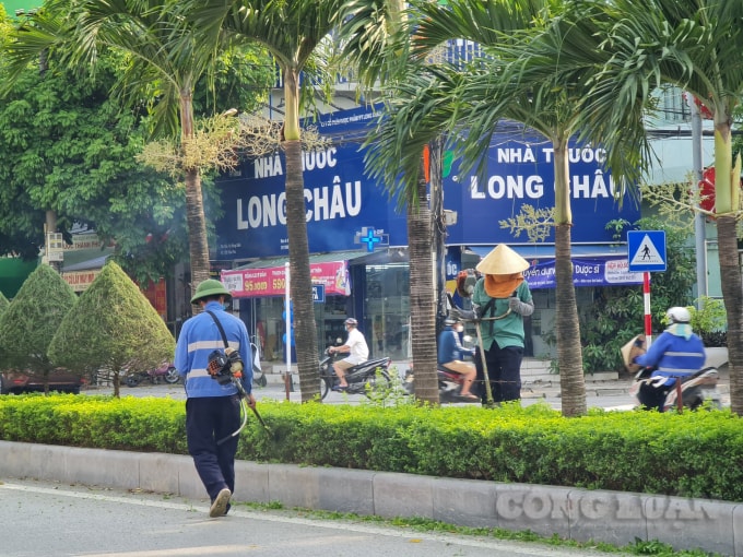 Công nhân gấp rút làm công việc chỉnh trang cây cảnh, vệ sinh môi trường đô thị chào mừng ngày hội lớn