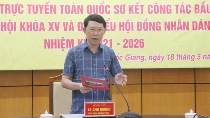 Chủ tịch UBND tỉnh Bắc Giang Lê Ánh Dương phát biểu tại hội nghị.