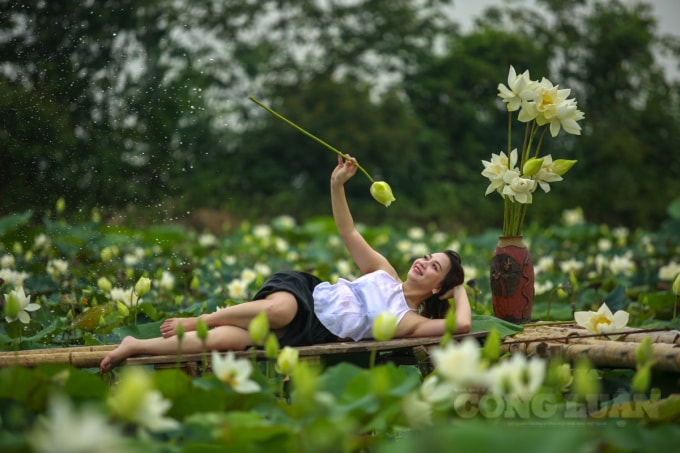 Với muôn vàn cách tạo dáng cùng các bông hoa sen trắng để ra được bức hình đẹp nhất, các cô gái trở thành các thiếu nữ xinh đẹp dưới các bông hoa sen.