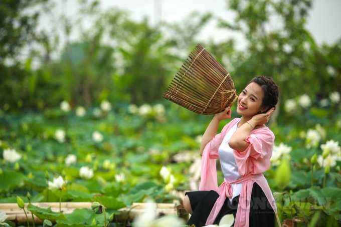 Ghi nhận của PV vào sáng 21/5, rất nhiều bạn trẻ đã đến đầm sen này để chụp ảnh lưu giữ những khoảnh khắc cùng với bông hoa sen.