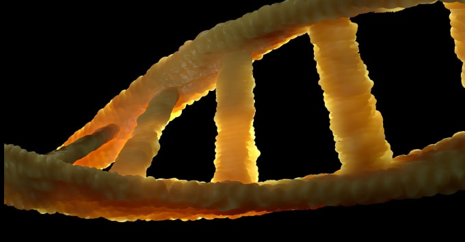 mRNA sẽ biến mất sau khi hoàn thành nhiệm vụ của mình - Ảnh: Internet