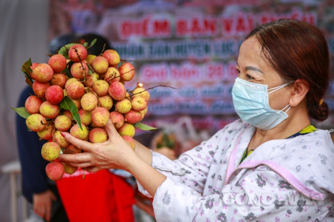 Cầm chùm vải tươi trên tay Cô Trần Thị Mộng Thảo (Yên Hòa, Cầu Giấy, Hà Nội) cho hay: “Hầu như năm nào đến mùa vải tôi đều hỗ trợ mua vải thiều Bắc Giang. Vải mới cắt rất tươi và ngon, giá 20.000 đồng/kg là rất hợp lý nên tôi tranh thủ mua vài kg để ủng hộ người dân. Theo tôi nghĩ, mua vải thiều Bắc Giang thời điểm này chính là tinh thần của mỗi người dân khi hỗ trợ vùng đang bị ảnh hưởng của dịch COVID-19