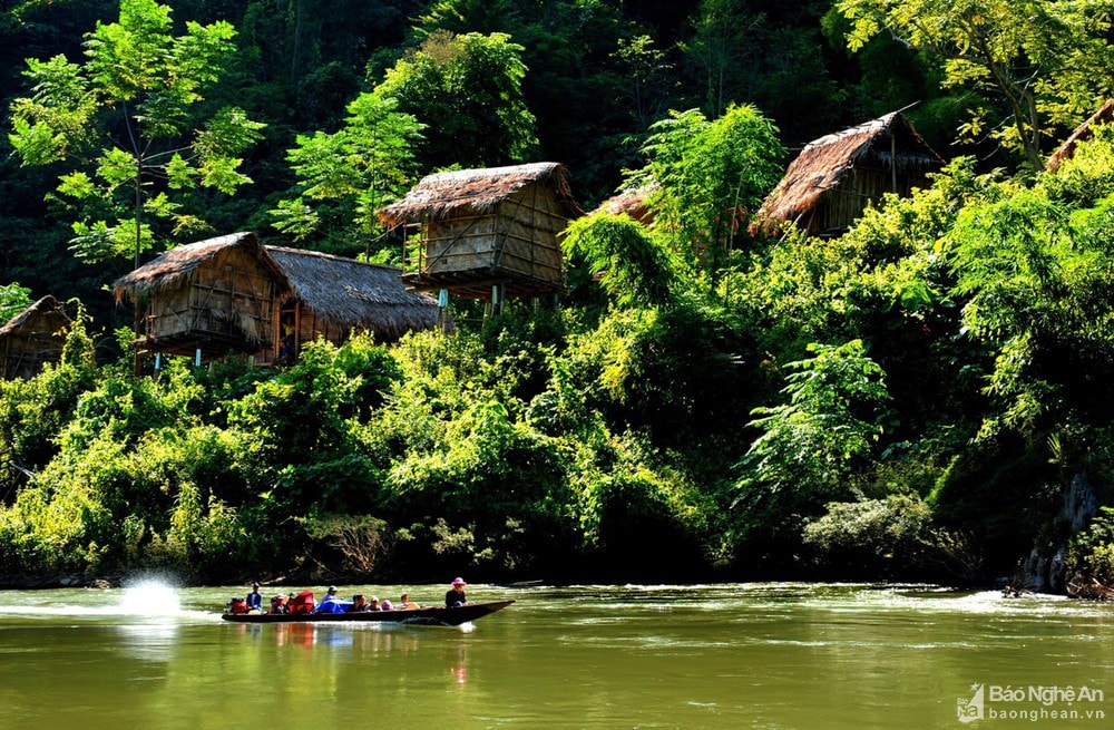 phuc hoi he sinh thai can su chung tay hinh 1