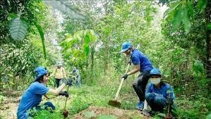 phuc hoi he sinh thai can su chung tay hinh 3