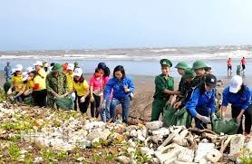phuc hoi he sinh thai can su chung tay hinh 4