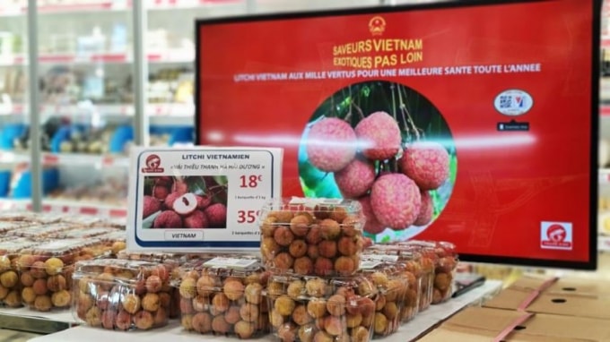 Vải thiều được bán tại Pháp với giá gần 500.000 đồng/kg.