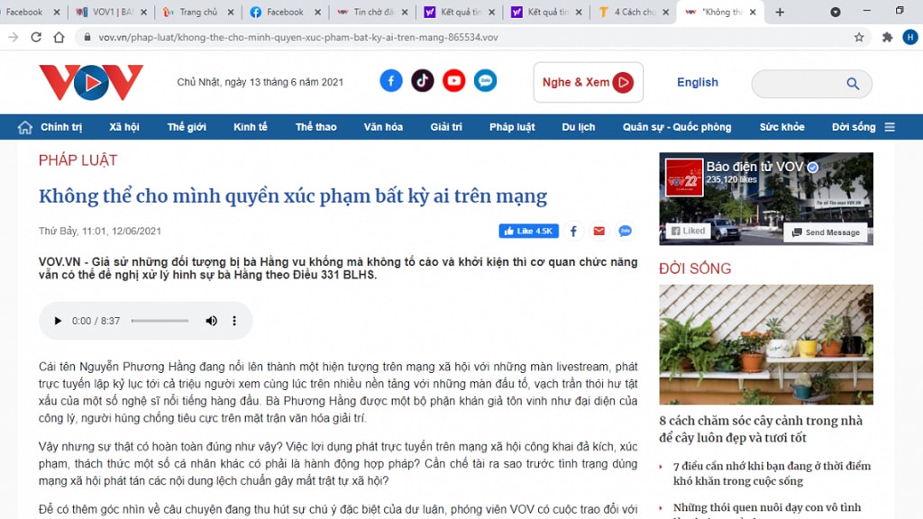Báo điện tử VOV cho rằng các bài viết về livestream trên mạng xã hội có thể là nguyên nhân vụ tấn công mạng. Ảnh chụp màn hình