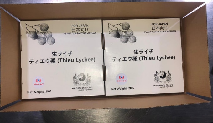 Vải thiều Việt Nam đang được thị trường Nhật Bản đón nhận.
