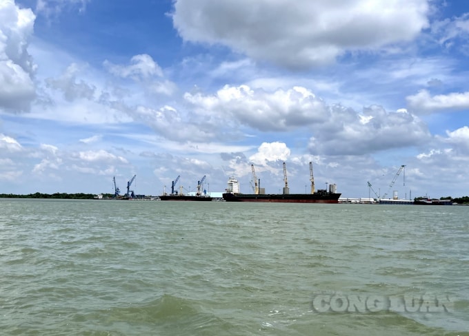 Hàng loạt tàu hàng nằm chờ vì không có công nhân làm việc.