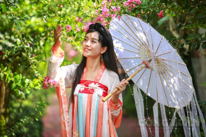 Nhiều du khách đã đến đây để lưu lại những khoảnh khắc tuyệt vời cùng loài hoa tượng trưng cho sự chung thủy trong tình yêu.