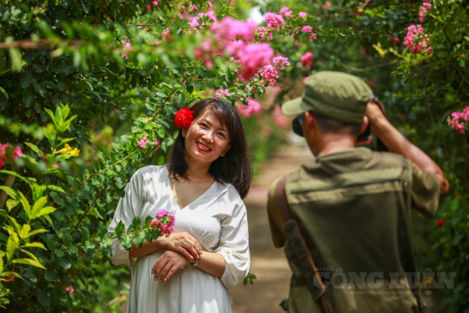 Tường vi không phải loài cây hiếm gặp ở Hà Nội, nhưng ít có nơi nào tập trung nhiều tường vi và tạo thành đường hoa như ở đây. Vì thế, những người lãng mạn, thích chụp ảnh đều mê mệt cảnh sắc này.