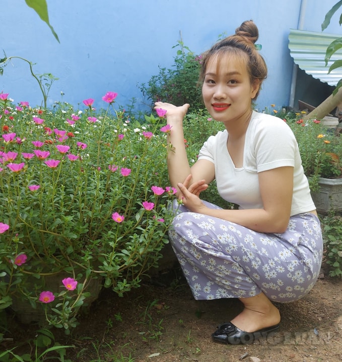 Chị Cao Thị Thu Thảo về quê gầy dựng sự nghiệp riêng với hoa mười giờ