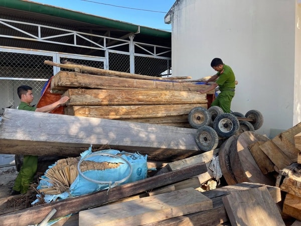Cơ quan chức năng tỉnh Đắk Lắk kiểm tra, làm rõ một vụ khai thác gỗ trái phép trên địa bàn huyện Krông Bông