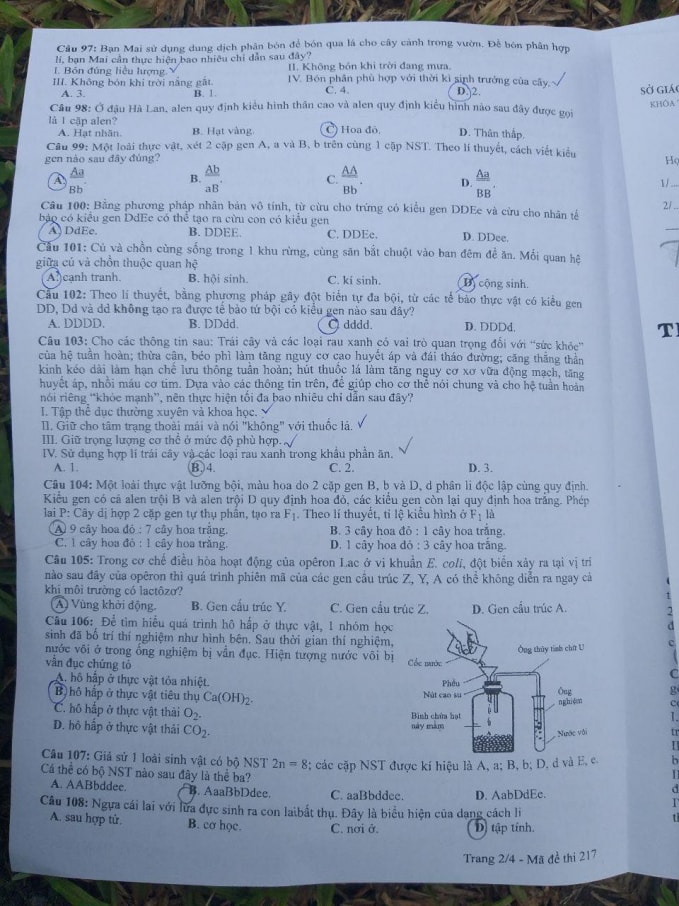 Đề thi môn Sinh học thi tốt nghiệp THPT 2021, mã đề 217.