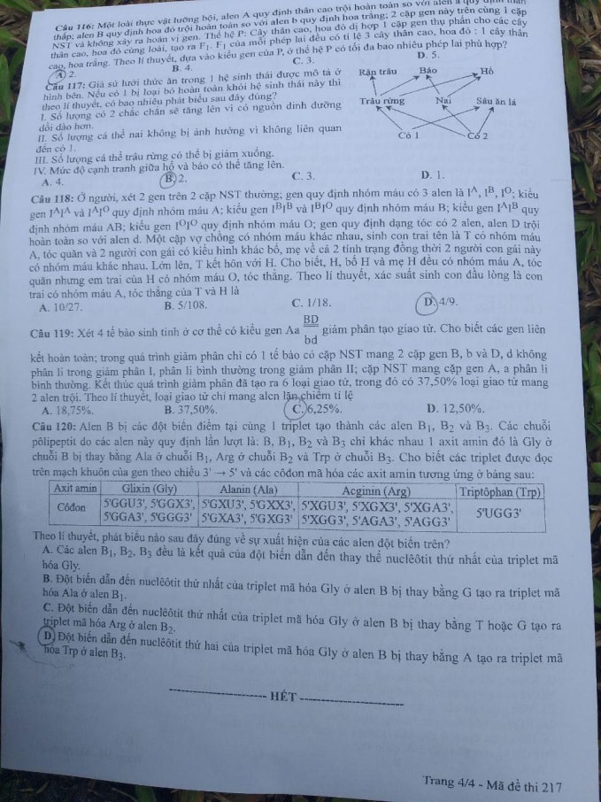 Đề thi môn Sinh học thi tốt nghiệp THPT 2021, mã đề 217.