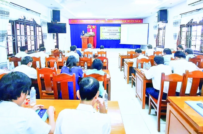 anh 2 (15)