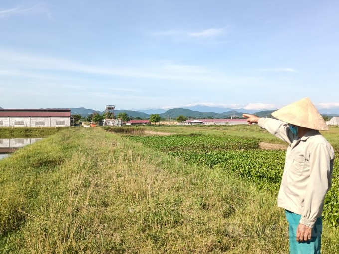 Trại chăn nuôi lợn của Công ty TNHH Khánh Giang trên địa bàn thôn Ngoại Xuân, xã An Dũng (huyện Đức Thọ)