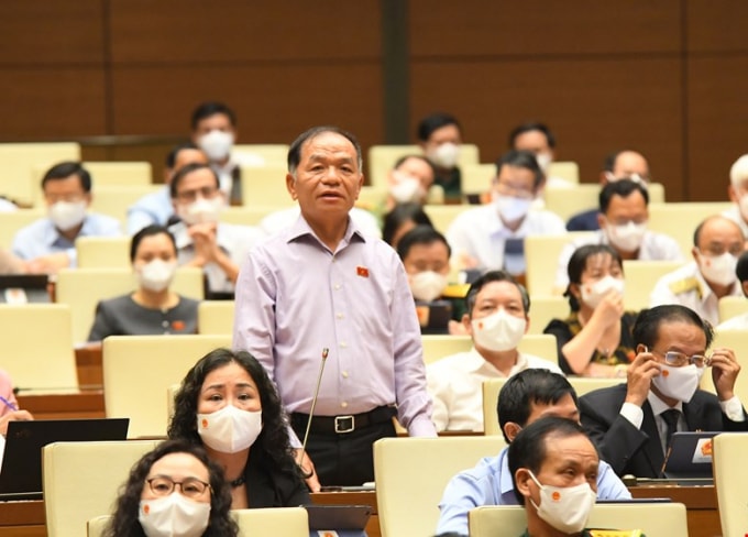 Đại biểu Quốc hội Lê Thanh Vân (đoàn Cà Mau) phát biểu ý kiến trước Quốc hội sáng nay (21/7/2021).