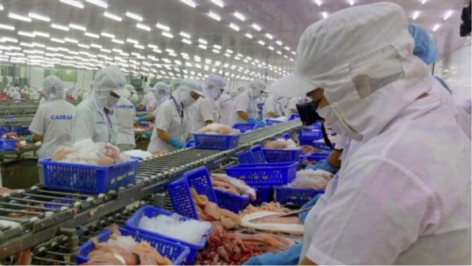 6 tháng đầu năm nay, xuất khẩu thuỷ sản Việt Nam sang thị trường EU tăng 20% đạt trên 486 triệu USD.
