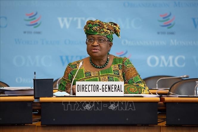 Tổng giám đốc Tổ chức Thương mại thế giới Ngozi Okonjo-Iweala. Ảnh: TTXVN