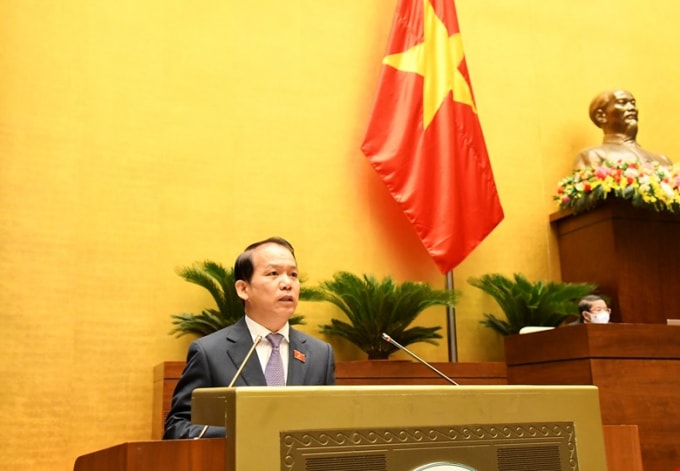 Chủ nhiệm Ủy ban Pháp luật của Quốc hội Hoàng Thanh Tùng.