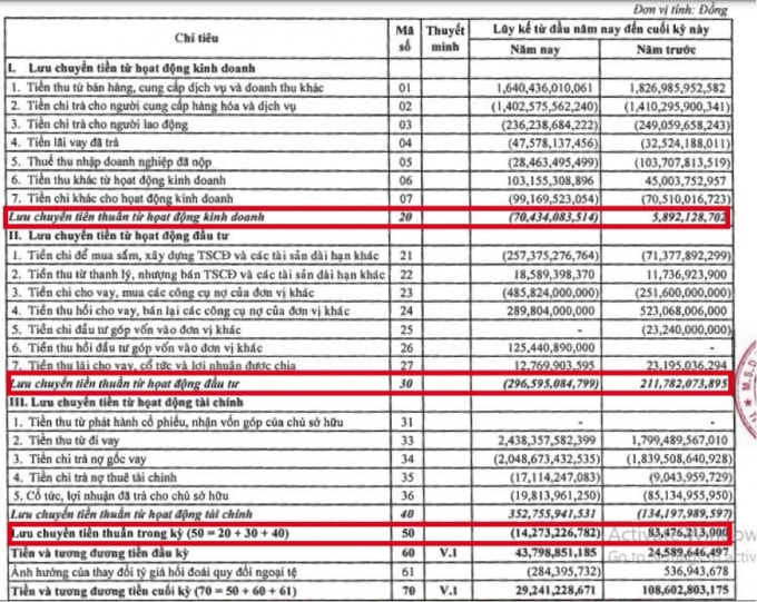 Nguồn: BCTC hợp nhất của ANV quý 2/2021.