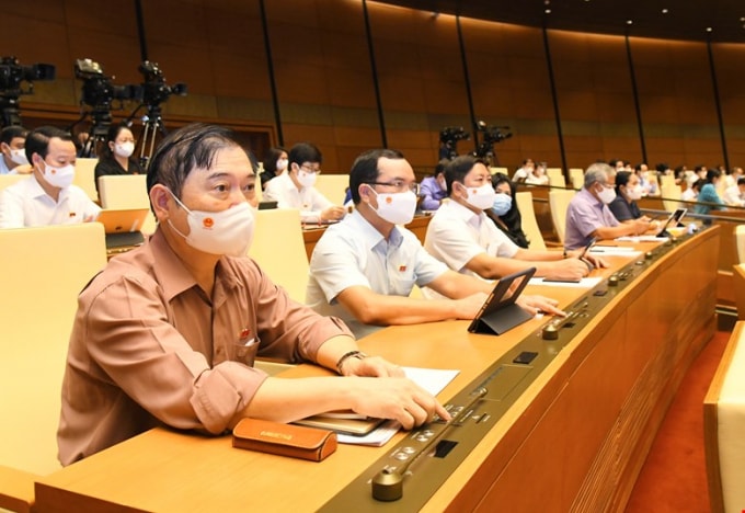 Các đại biểu Quốc hội biểu quyết thông qua Nghị quyết.