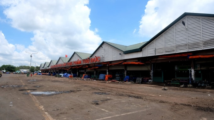 Để chuẩn bị cho phương án mở trạm trung chuyển, 3 chợ đầu mối tại TP.HCM đã sẵn sàng sân bãi, nhân sự, lực lượng bảo vệ kiểm tra cũng như tổ chức xét nghiệm cho tiểu thương và lái xe tham gia hoạt động buôn bán.