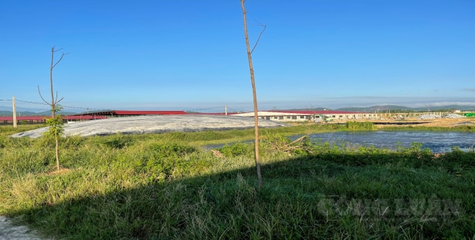 Công ty TNHH Khánh Giang nuôi lợn