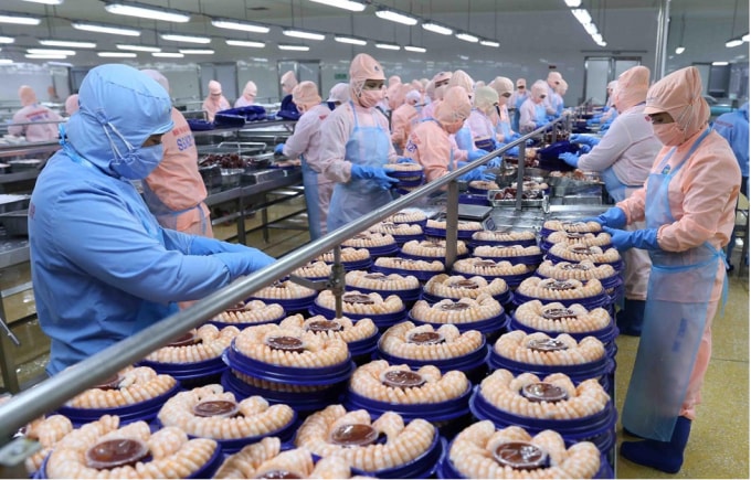 Nhân lực ngành Thuỷ sản đang bị thiếu hụt trầm trọng. Ảnh TL