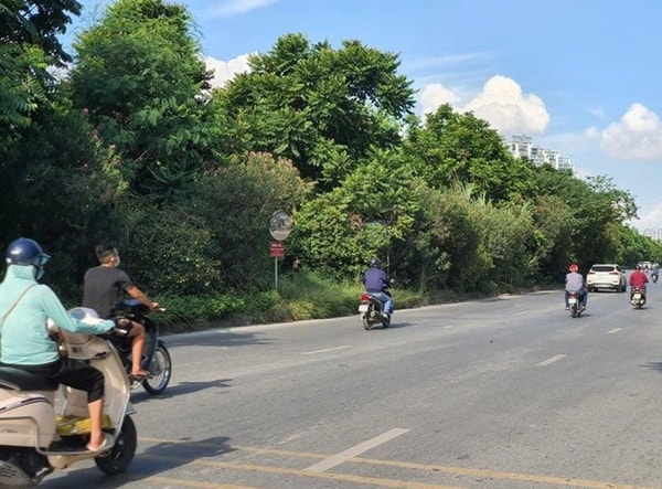 Gần hơn 1,800 tỷ đồng duy trì cây xanh, thảm cỏ vẫn nhếch nhác khó tin tại các tuyến đường Hà Nội. Ảnh: PLVN