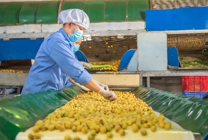 Sau Hội nghị Thủ tướng với doanh nghiệp bàn các giải pháp thúc đẩy sản xuất hôm vừa qua, Ban IV đã đề xuất với Chính phủ triển khai chiến dịch phát triển loạt “Doanh nghiệp xanh”.