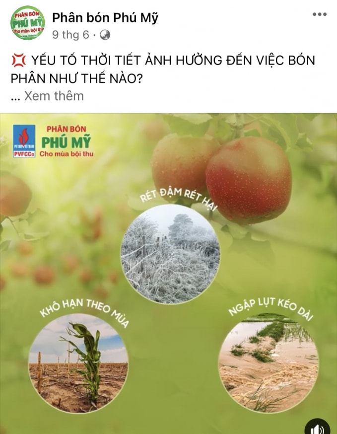 PVFCCo tăng cường các kênh online như hotline, email, website, Zalo, Facebook, youtube… nhằm hướng dẫn bà con kỹ thuật sử dụng phân bón, chăm sóc cây trồng.