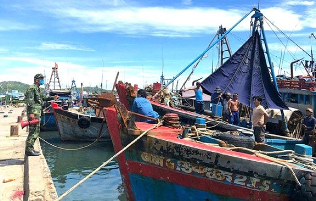 Hình ảnh lực lượng chức năng giám sát số tàu vào neo đậu tại cảng Sa Huỳnh (thị xã Đức Phổ). Ảnh: tienphong.vn