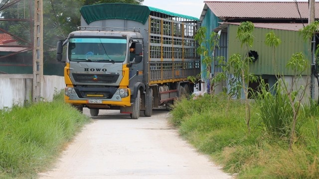 Công ty TNHH Khánh Giang phải di chuyển toàn bộ đàn lợn lợn ra khỏi trang trại trước 18h, ngày 20/8/2021