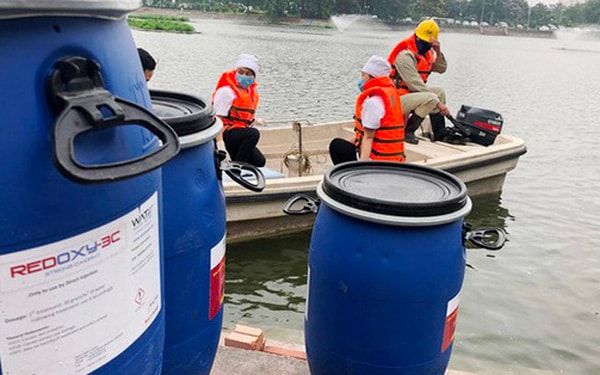 Bà Nguyễn Thị Trúc Chi Hoa đã tự ký giả chữ ký của Nguyễn Đức Hạnh chuyển nhượng cổ phần tại Công ty Arktic