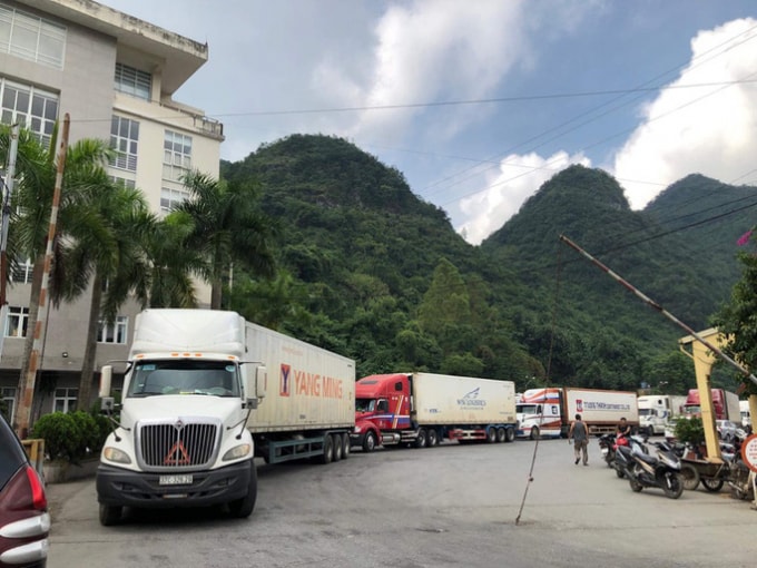 Bộ Công Thương yêu cầu các doanh nghiệp xuất khẩu hàng hóa sang Trung Quốc theo đường chính ngạch.